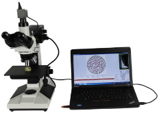 【铂蒂科技】A-30D正置金相显微镜